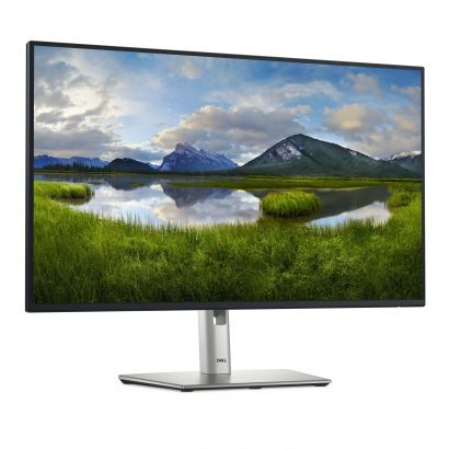 Écran 27" Full HD Dell P2725H